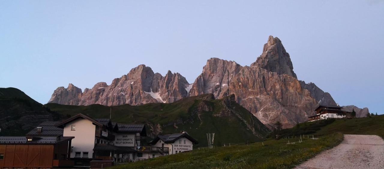 Hotel Alpenrose Passo Rolle Dış mekan fotoğraf