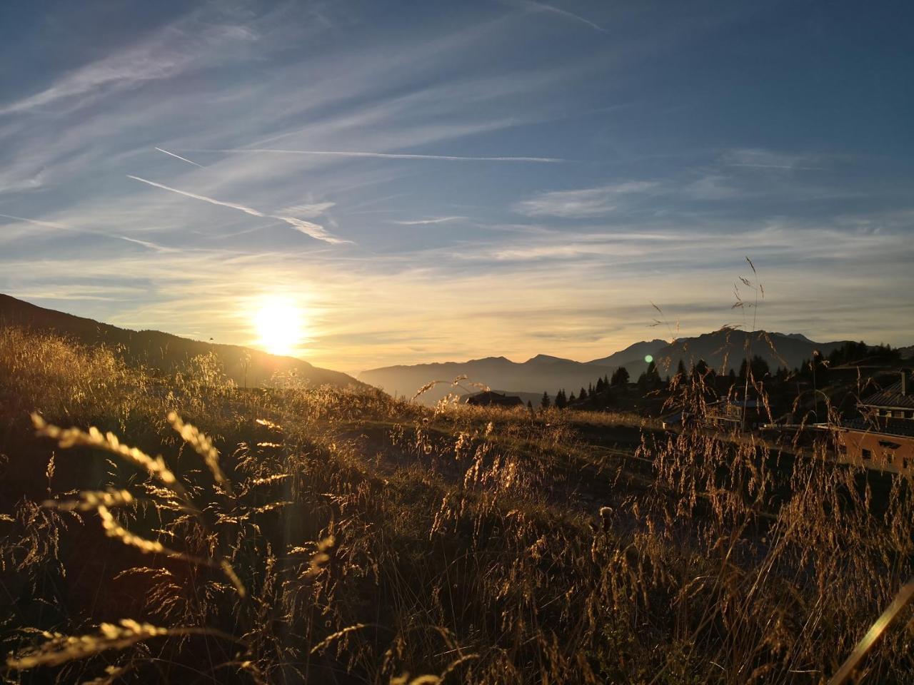 Hotel Alpenrose Passo Rolle Dış mekan fotoğraf