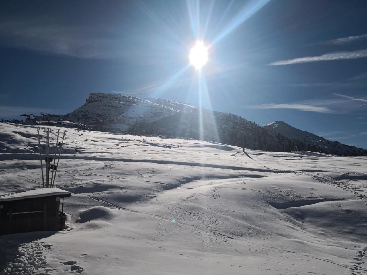 Hotel Alpenrose Passo Rolle Dış mekan fotoğraf