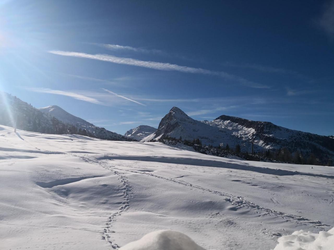 Hotel Alpenrose Passo Rolle Dış mekan fotoğraf